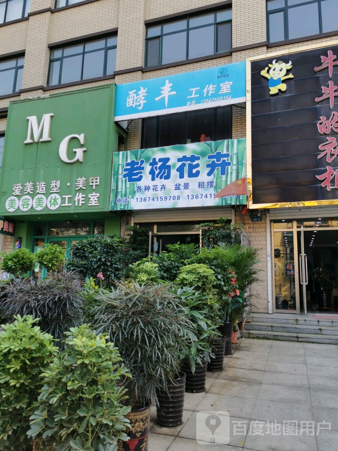 盛昌花卉盆景