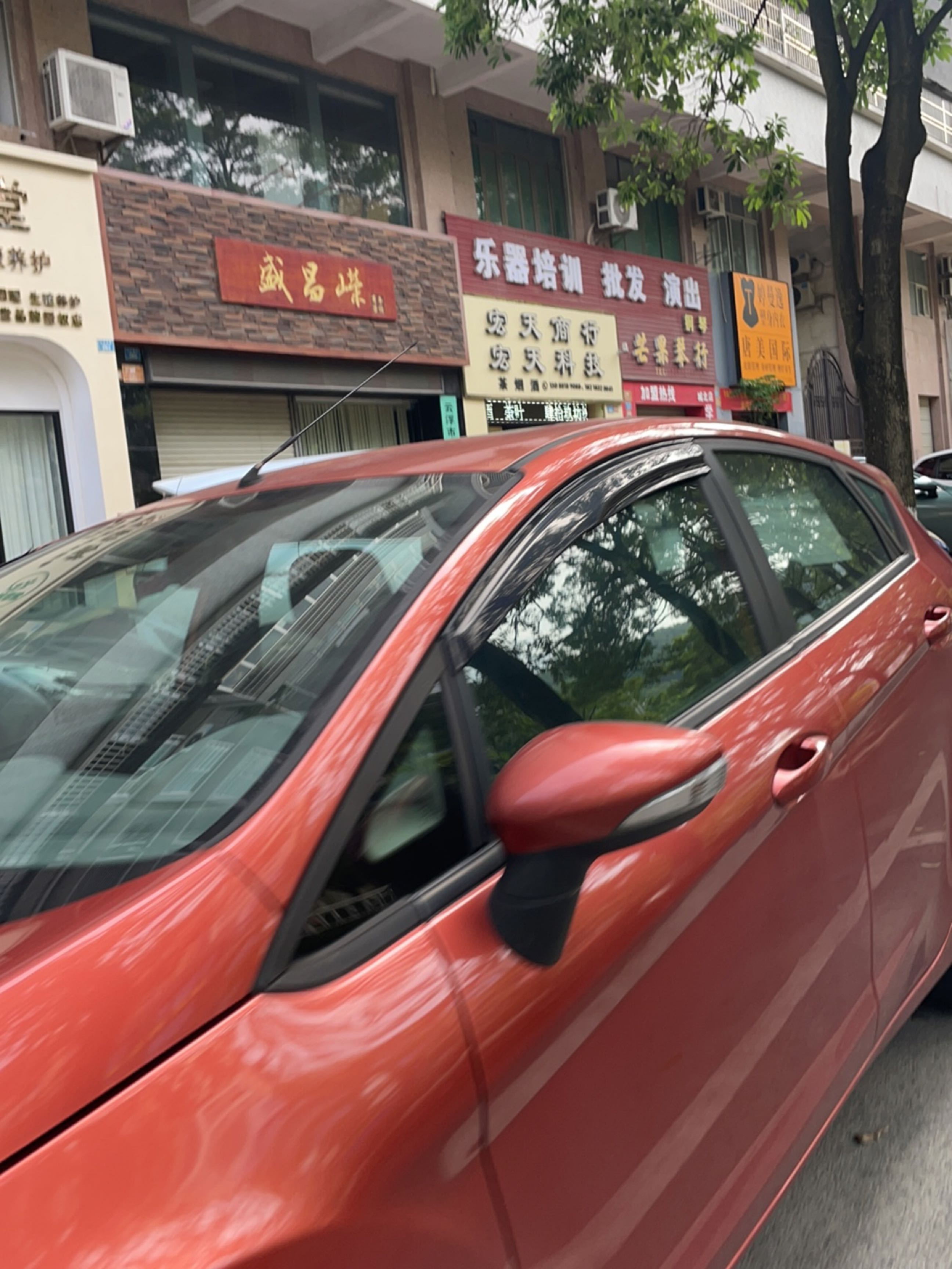 盛昌嵘商务咨询