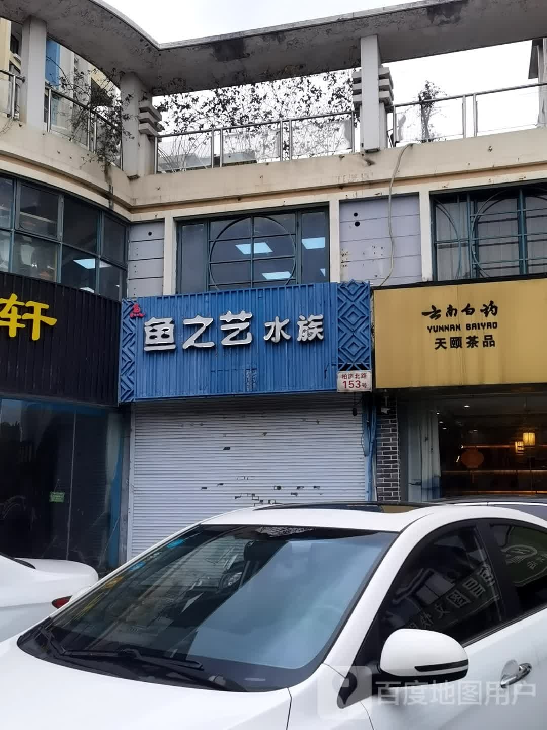 鱼之艺水zu