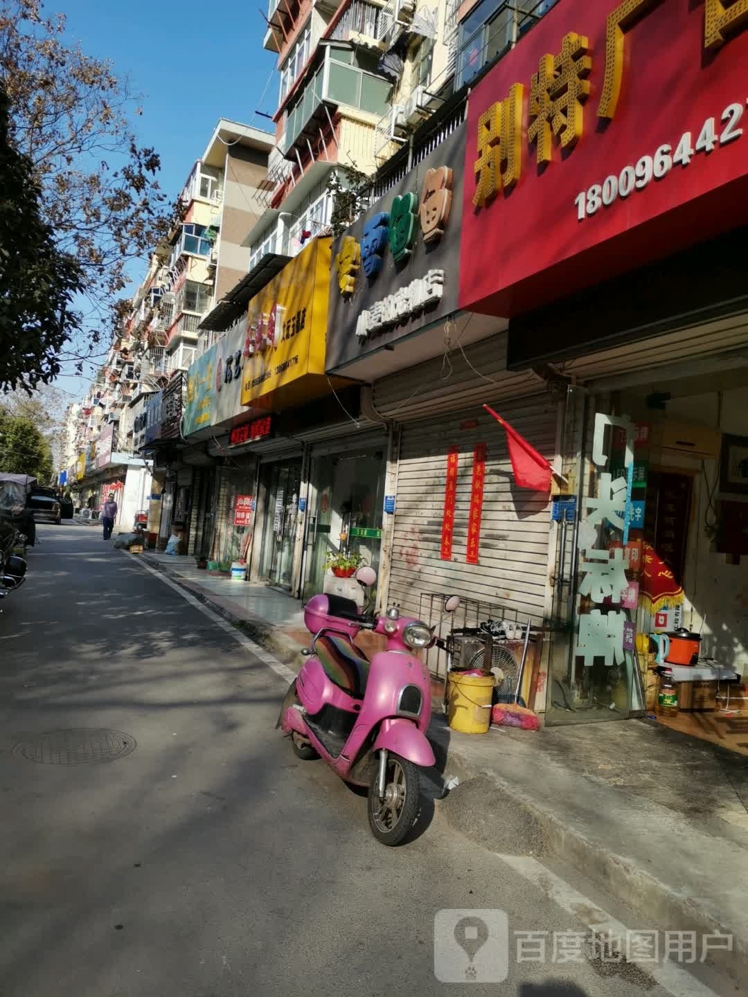 蜜雪鱼鱼(小麦的宠物店)