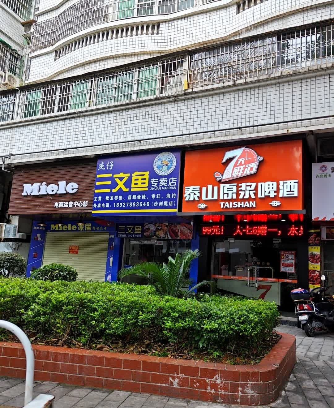 杰仔三门鱼(沙洲尾店)