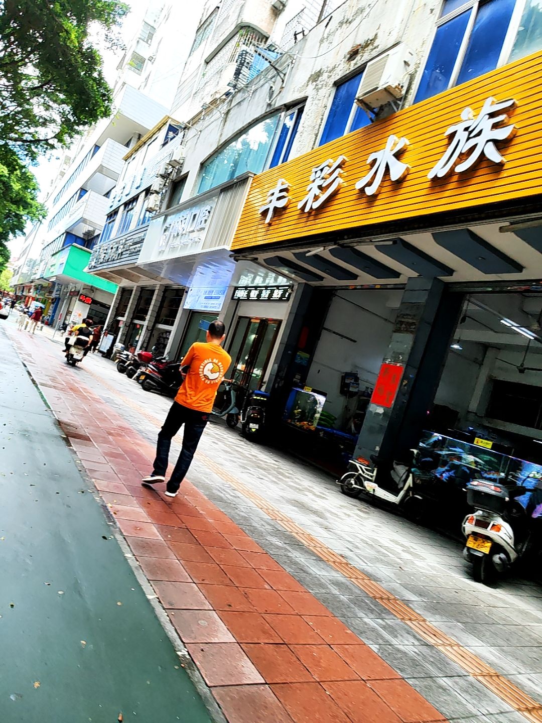 丰彩水族(佳华大厦店)