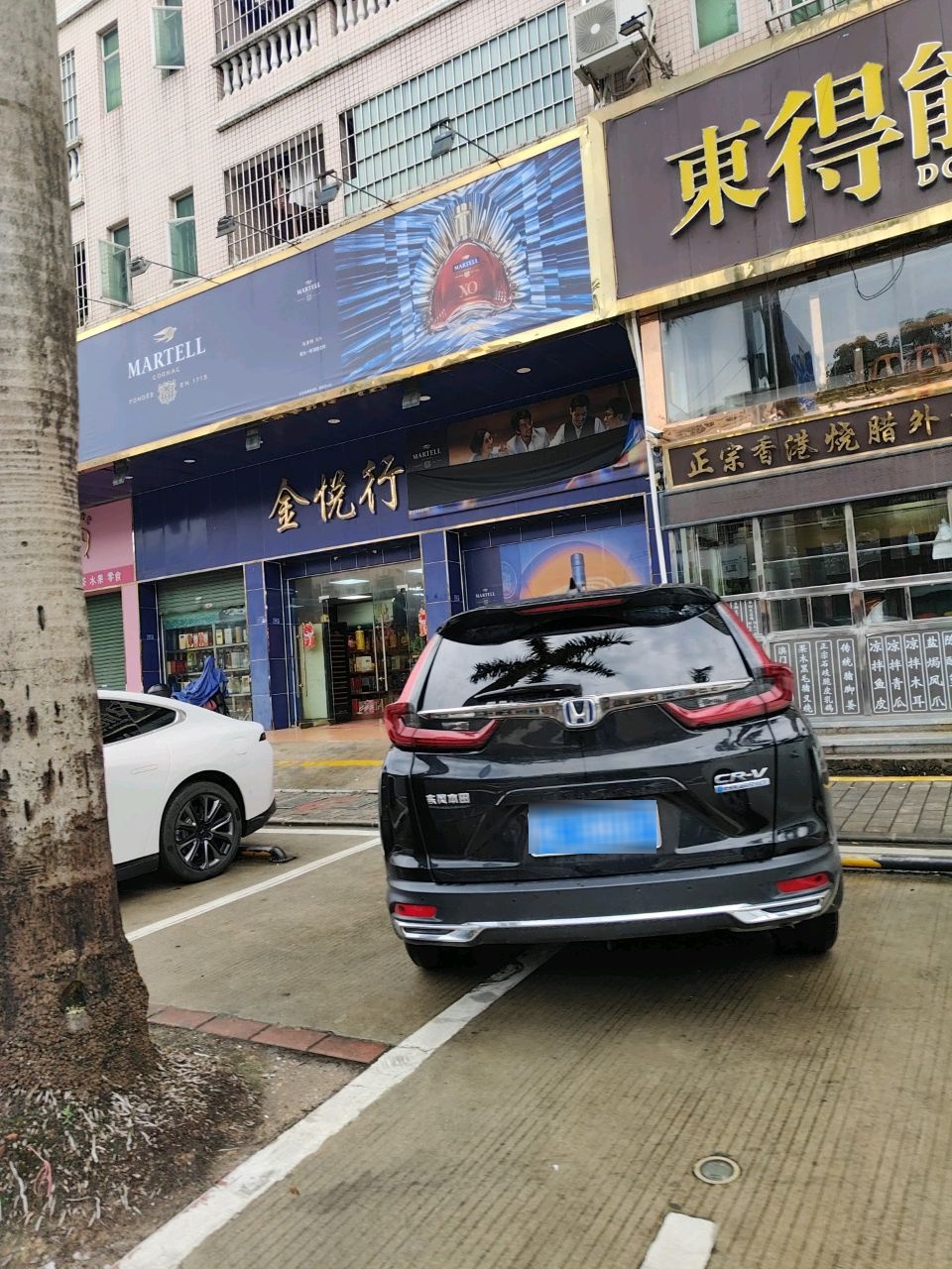 金悦行