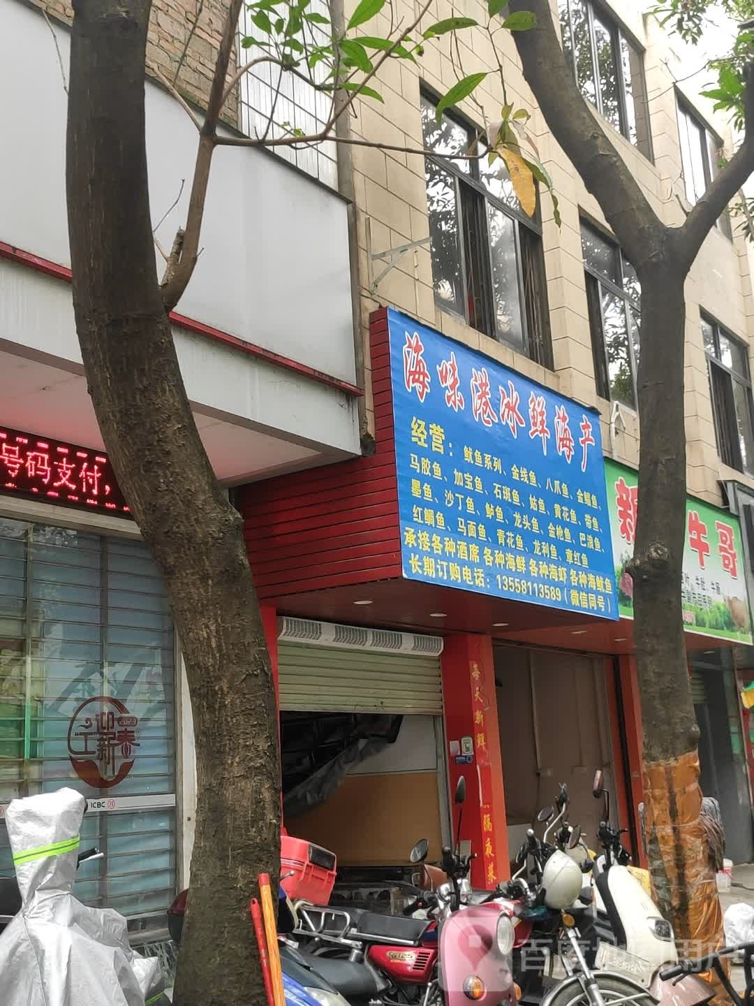 海味港冰鲜海产