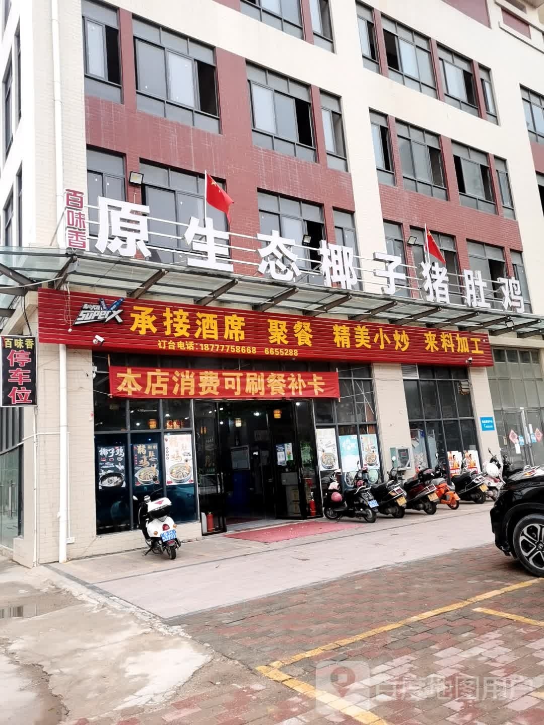 原生态椰子猪肚鸡(万成·天和御景店)