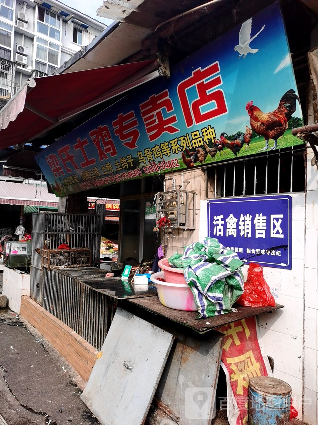 梁士土鸡专卖店(虹高市场店)