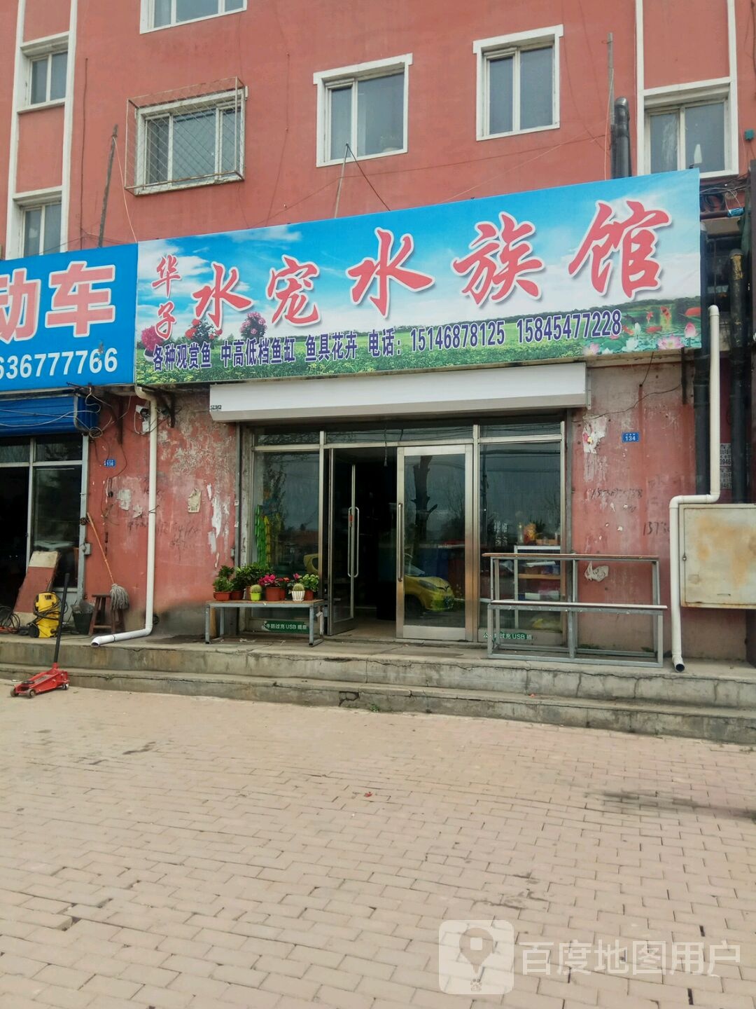华子水宠水族馆