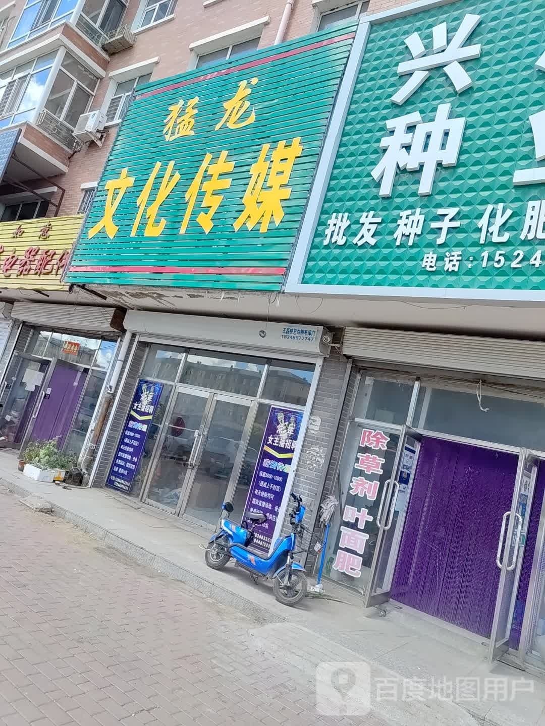 猛龙文化传媒
