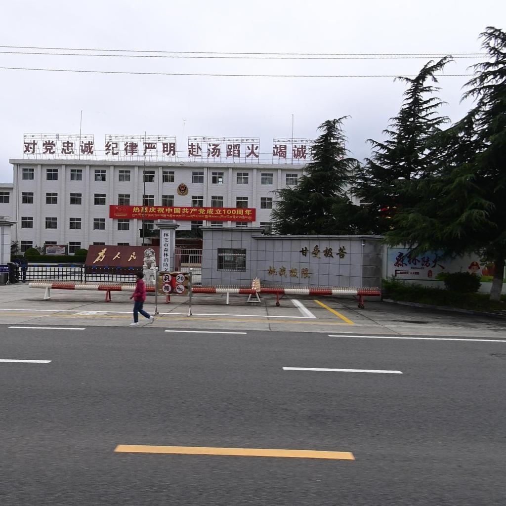 林芝市森林消防支队