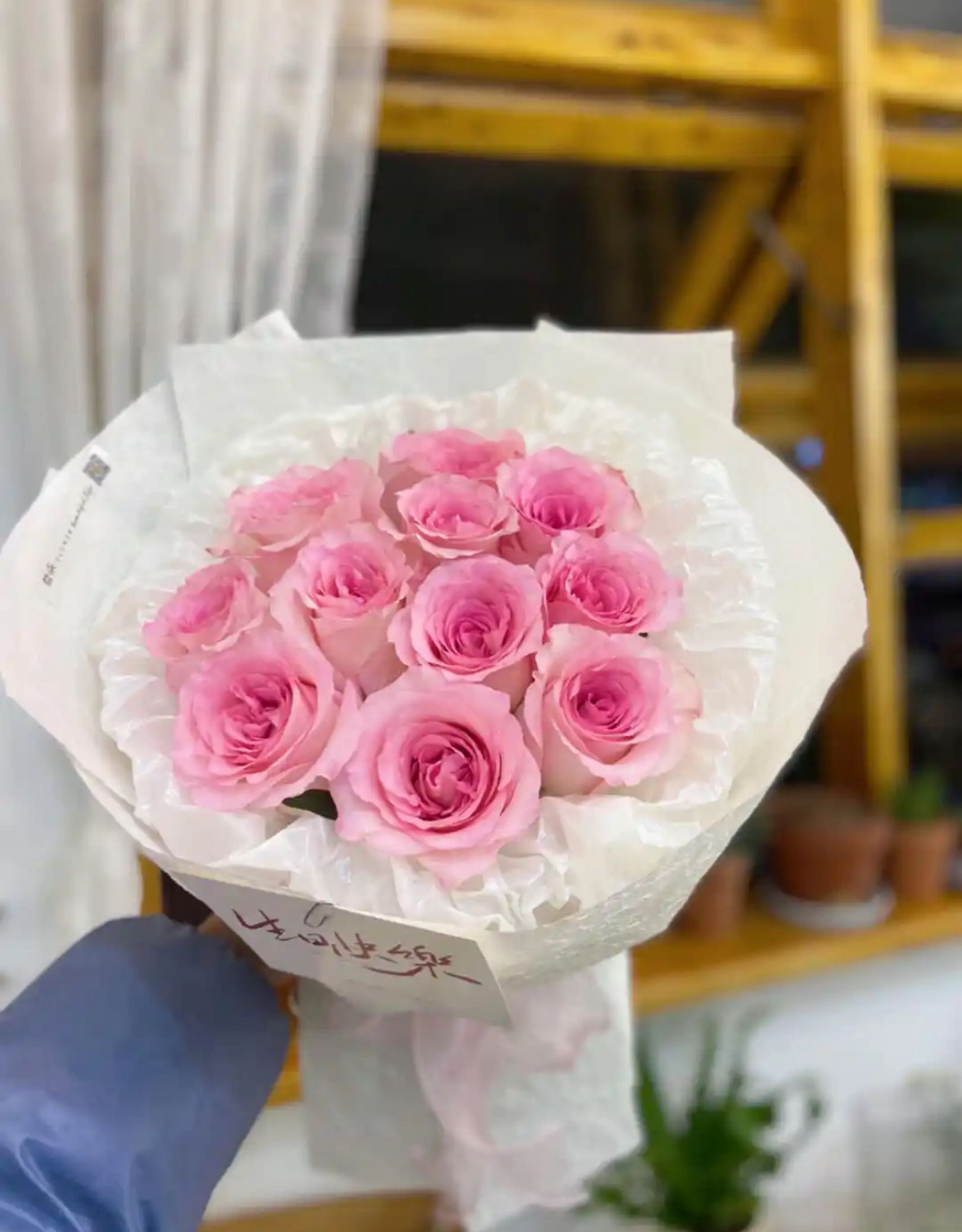 如初见绿植花卉点