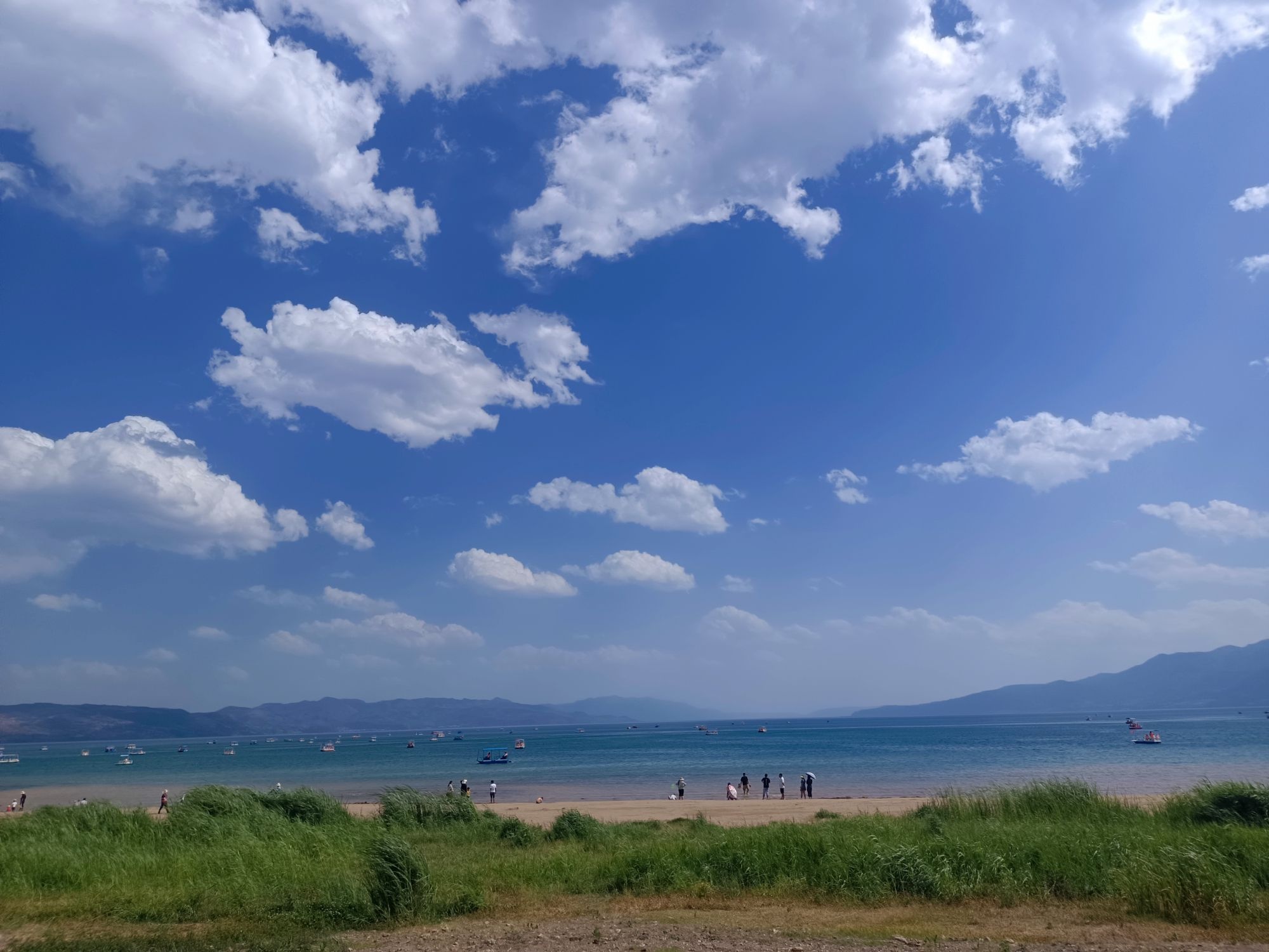 抚仙湖马房村生态湿地公园