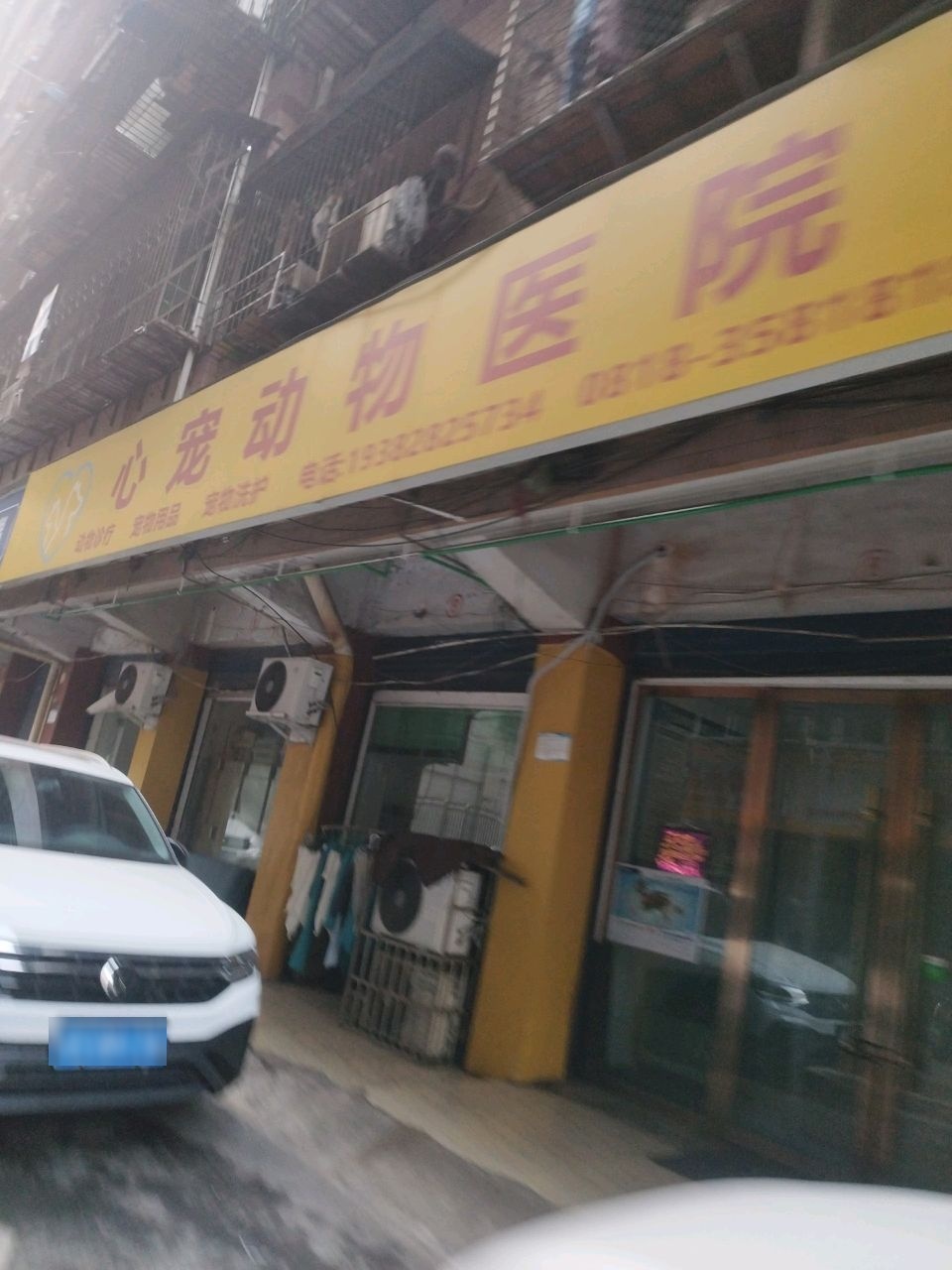 心宠动物医院
