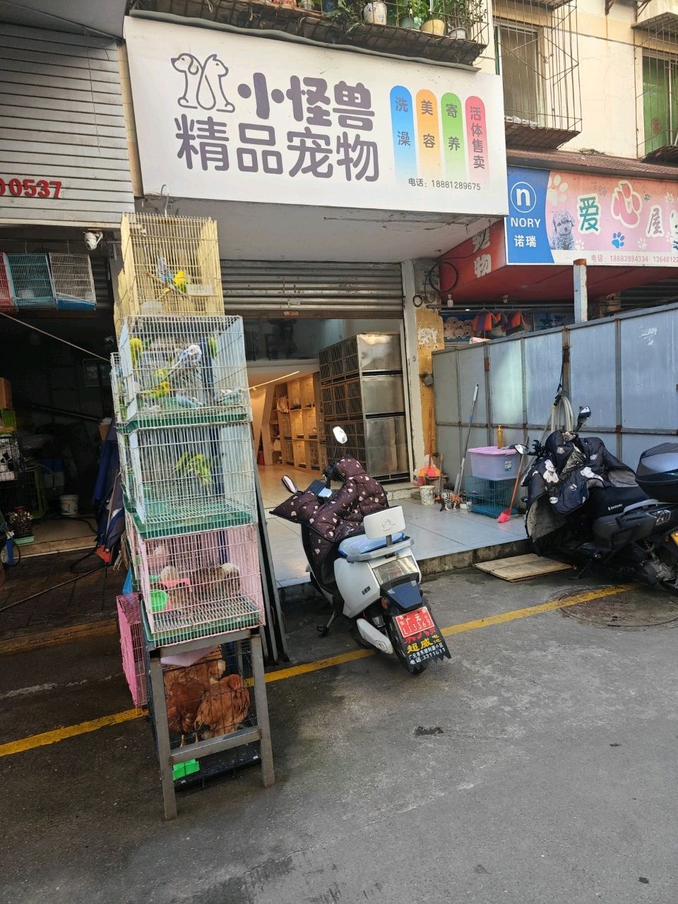 小怪兽精品宠物