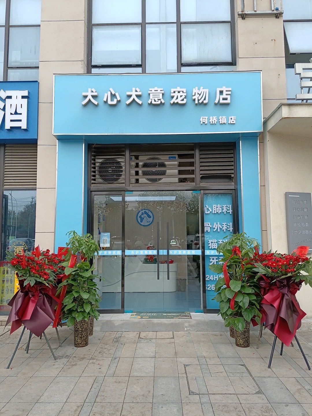 犬心犬意宠物店(龙华豪居店)