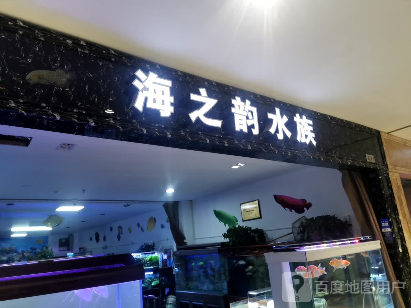 海之润水族(桥北太平商场店)