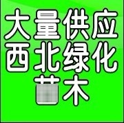 裕盛村南大街南排298号