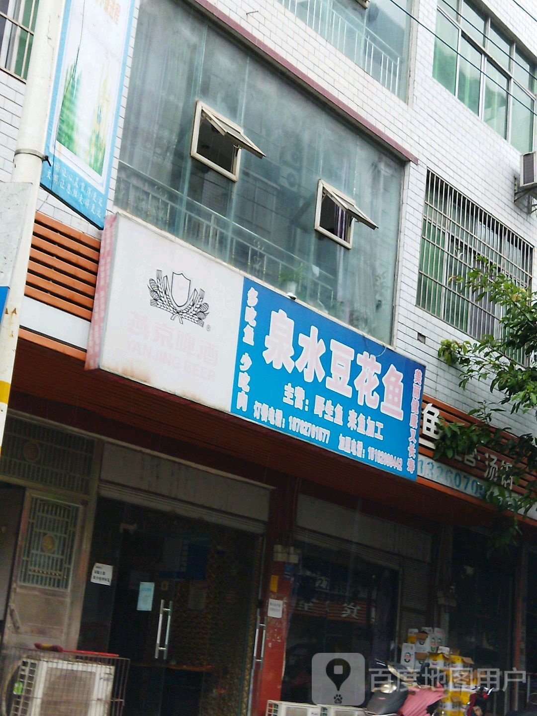 泉水豆花鱼