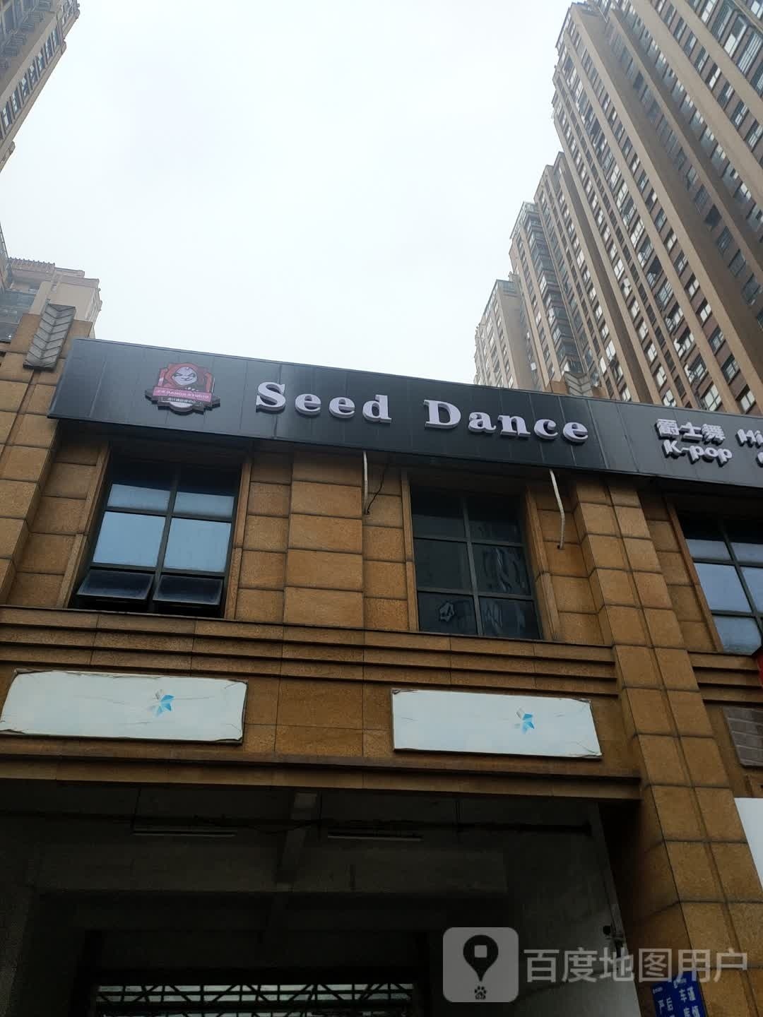 Seed Dancn