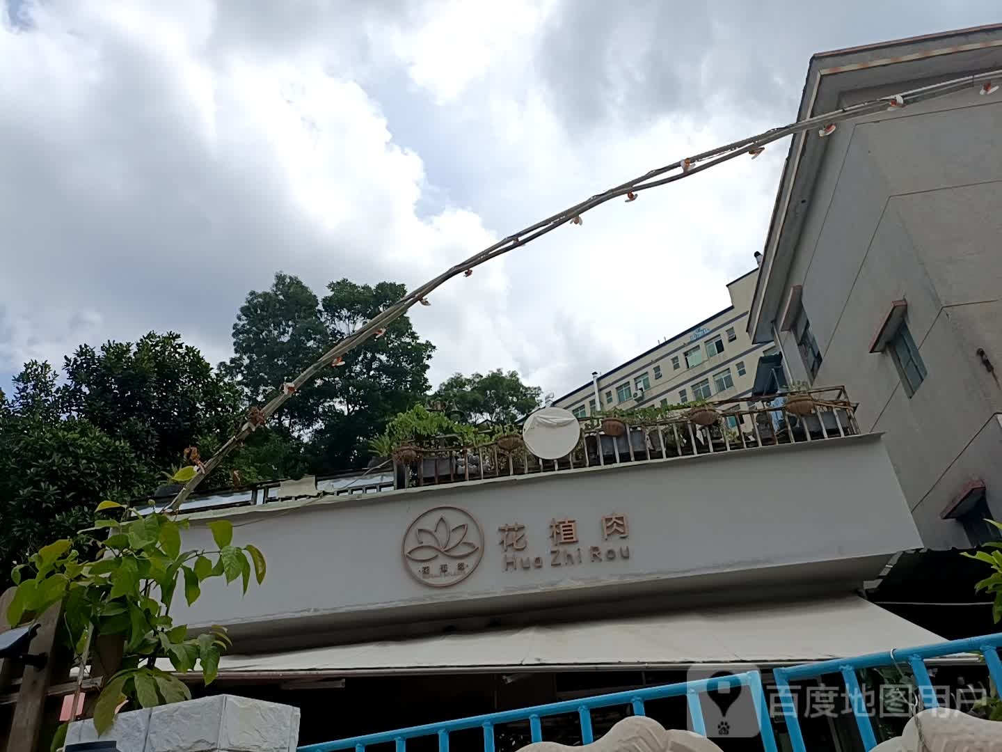 花植肉