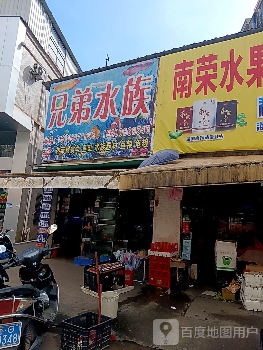 兄弟水族(国际广场新城大道店)