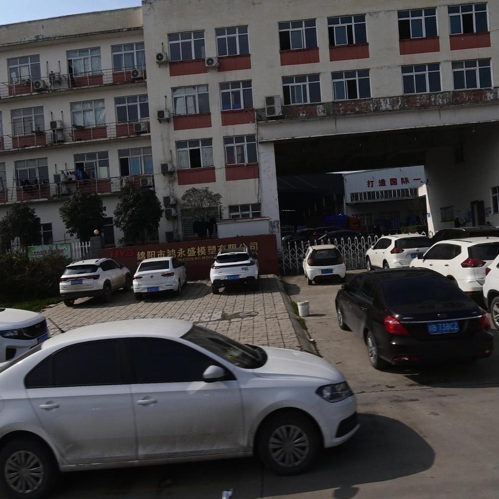 绵阳市鸿永盛模塑有限公司