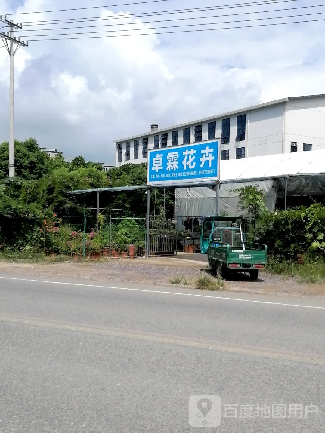 卓霖花卉