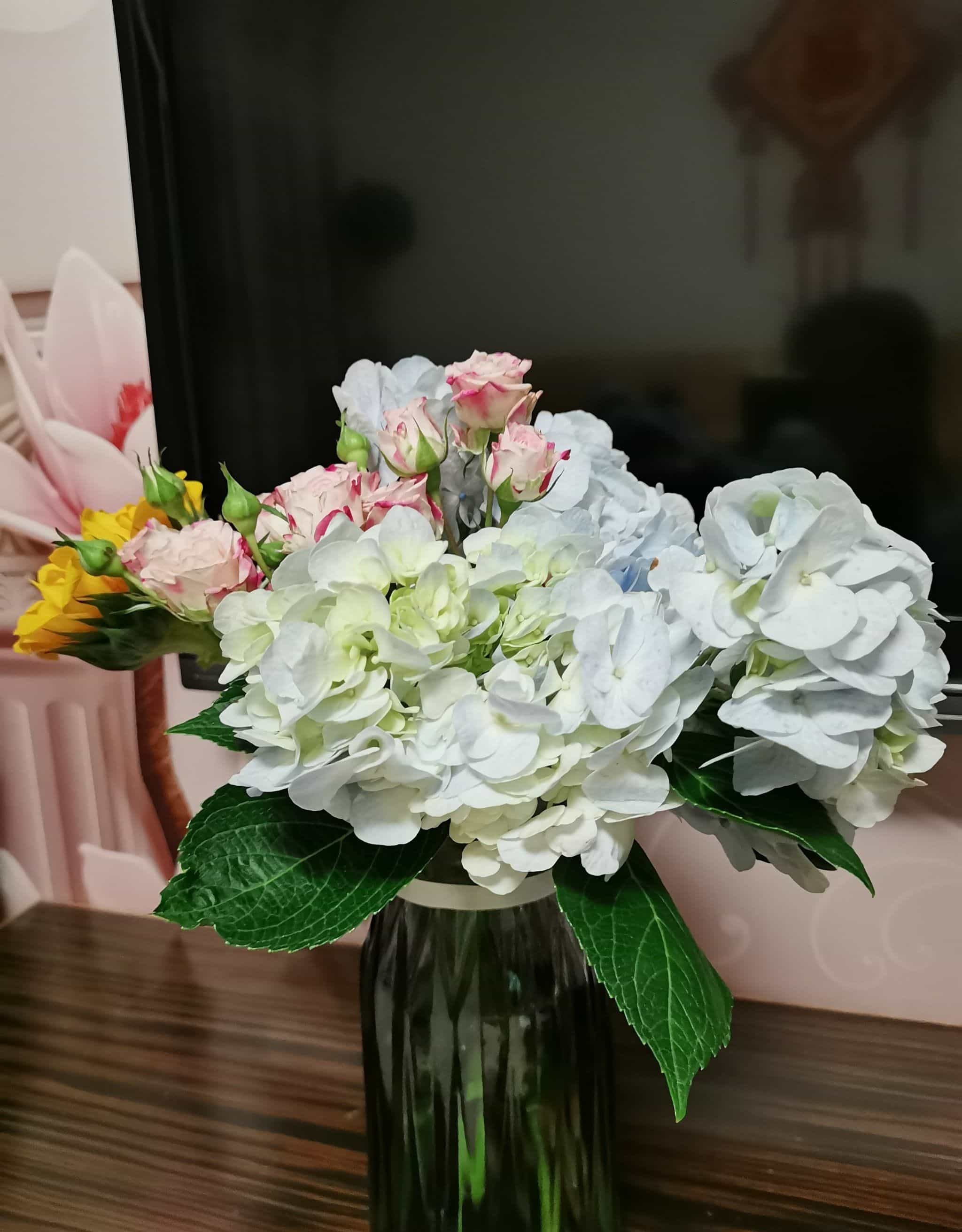 南昌大学(前湖校区)-游泳馆
