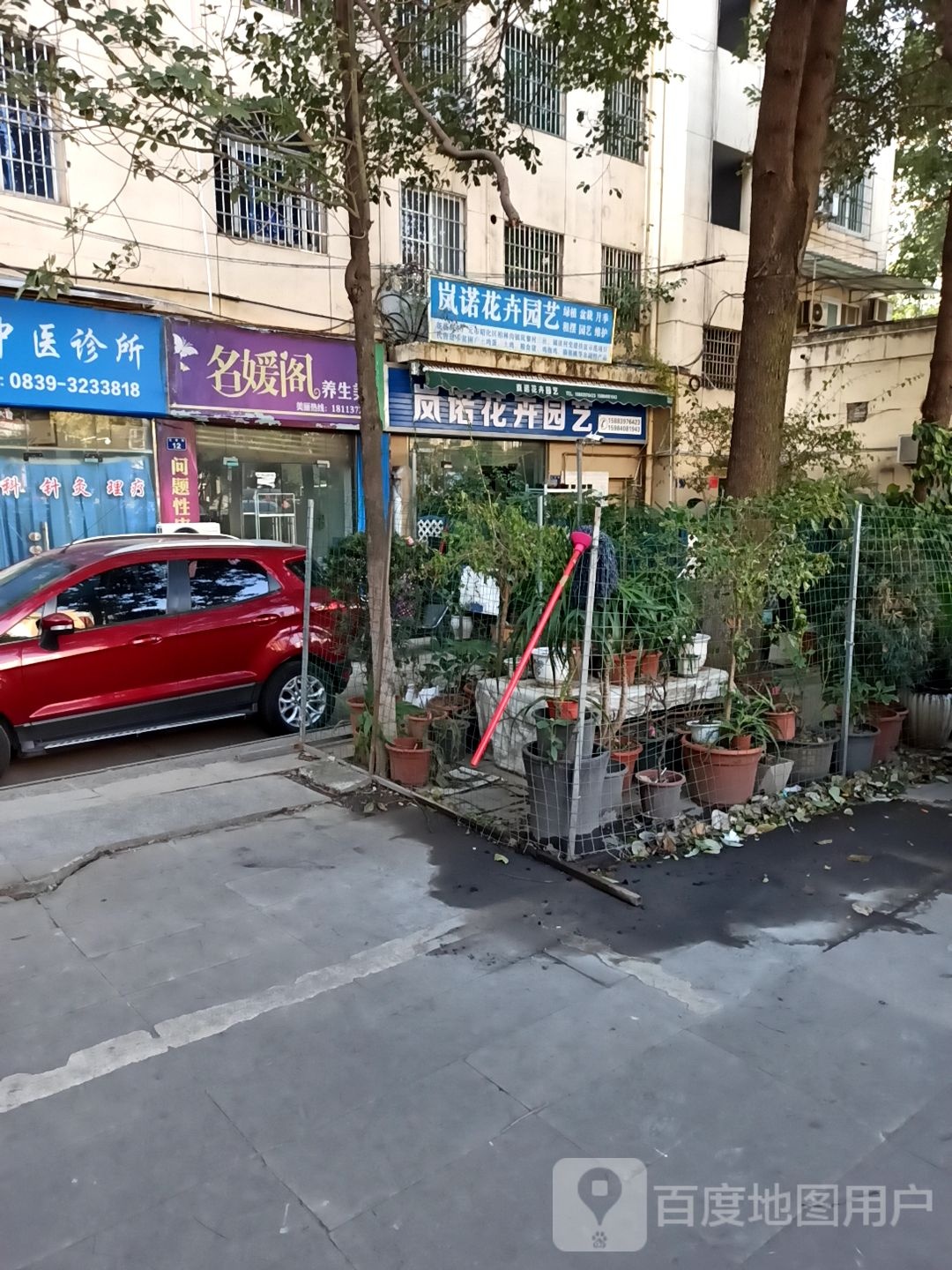 岚诺花卉园艺