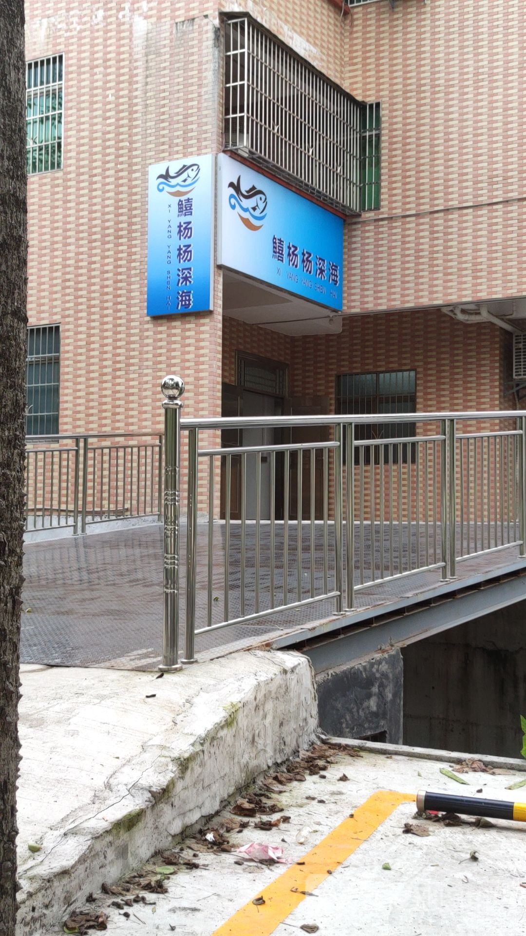 鱚杨杨深海