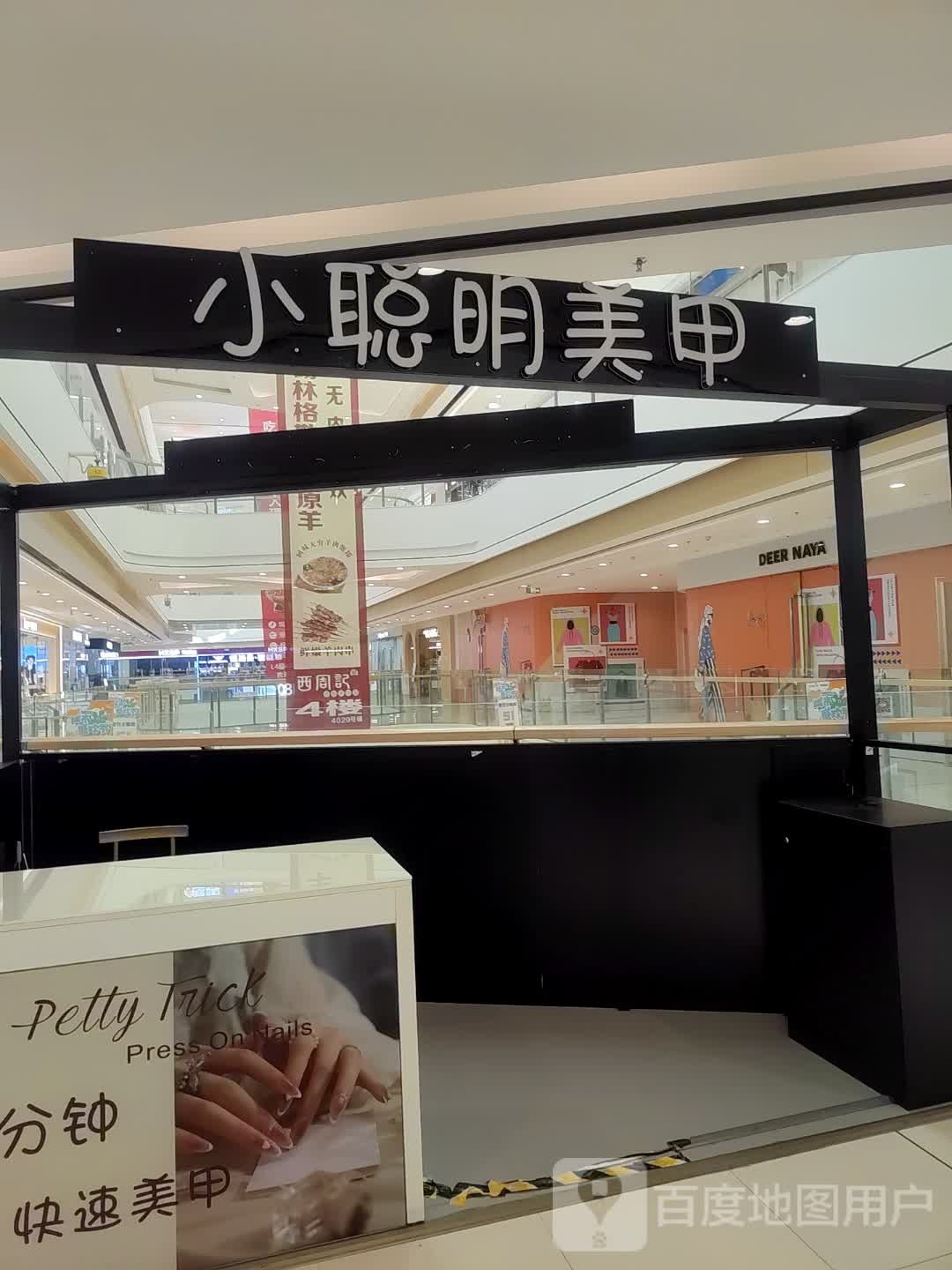 小聪明美甲(万达广场南霞新路店)