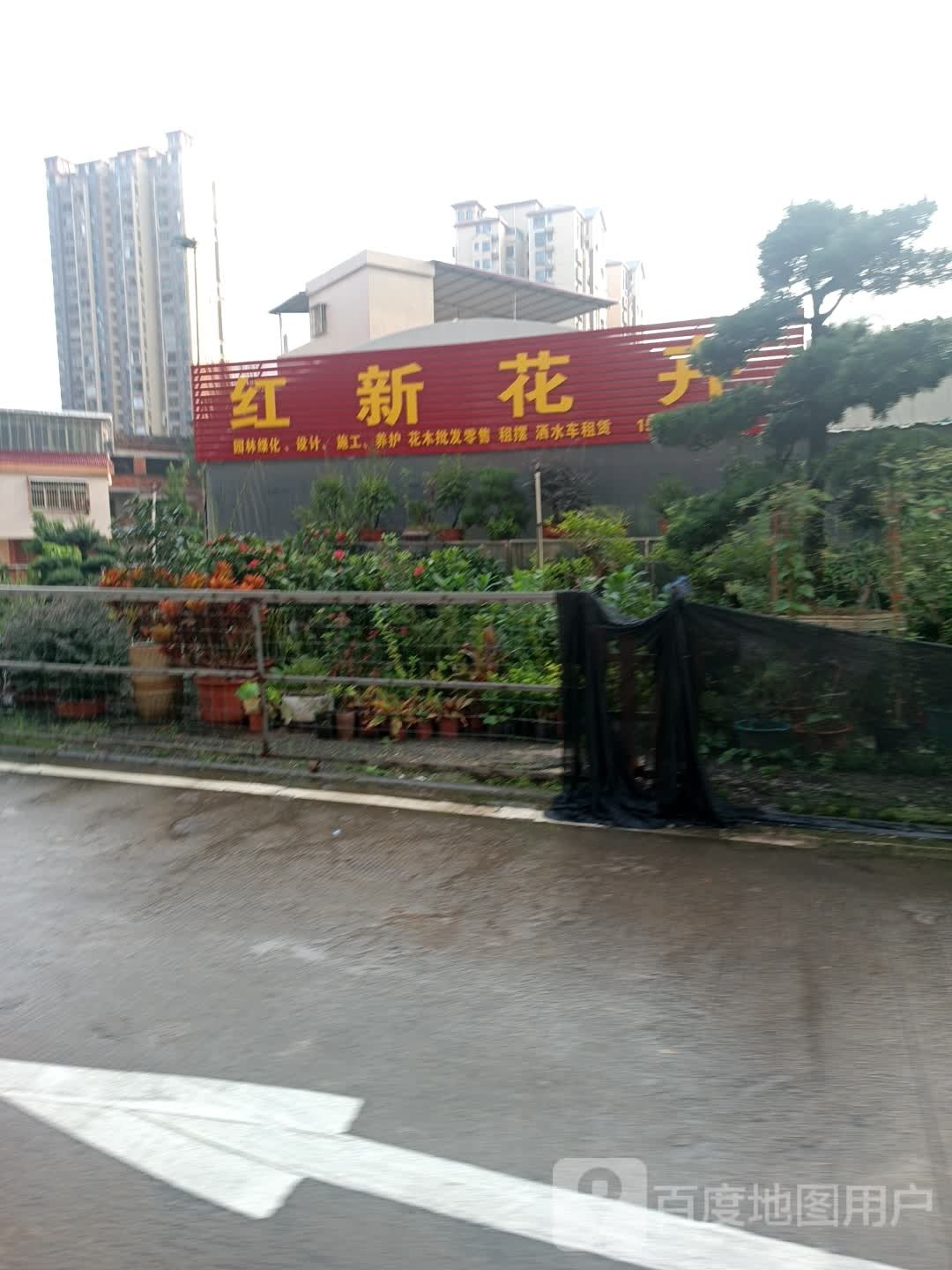 红xin花卉
