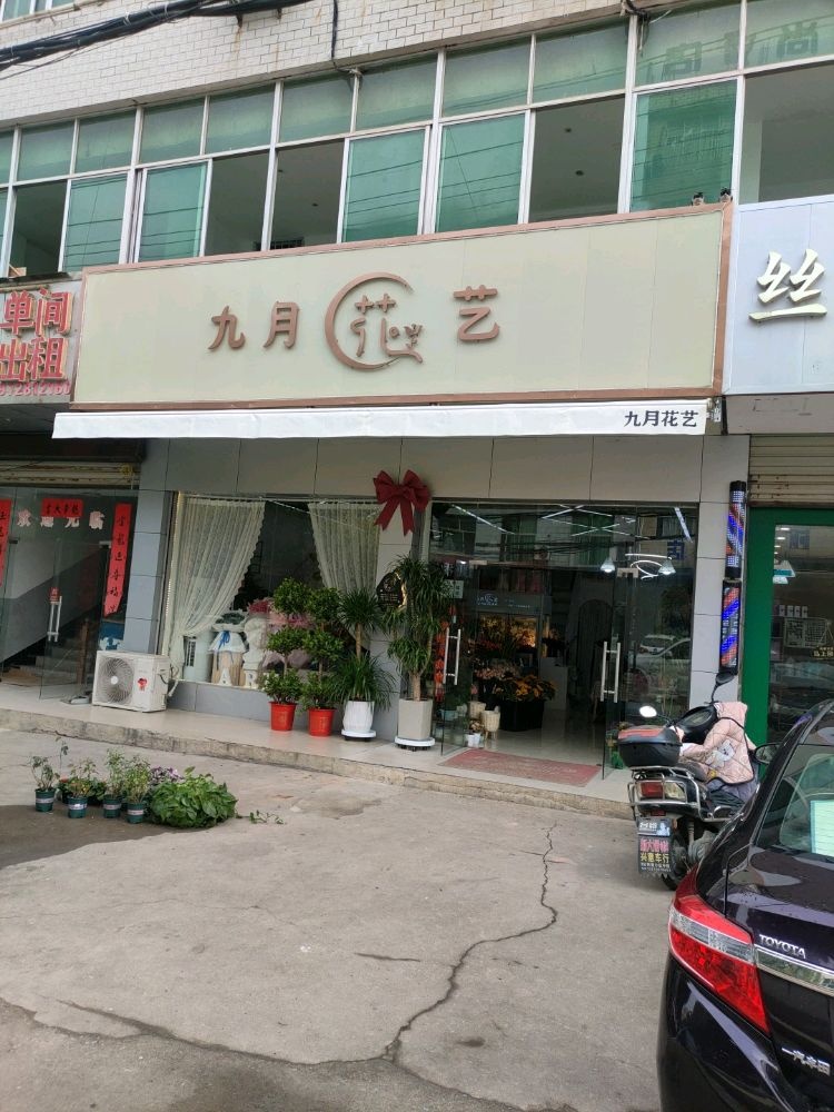 九月花艺
