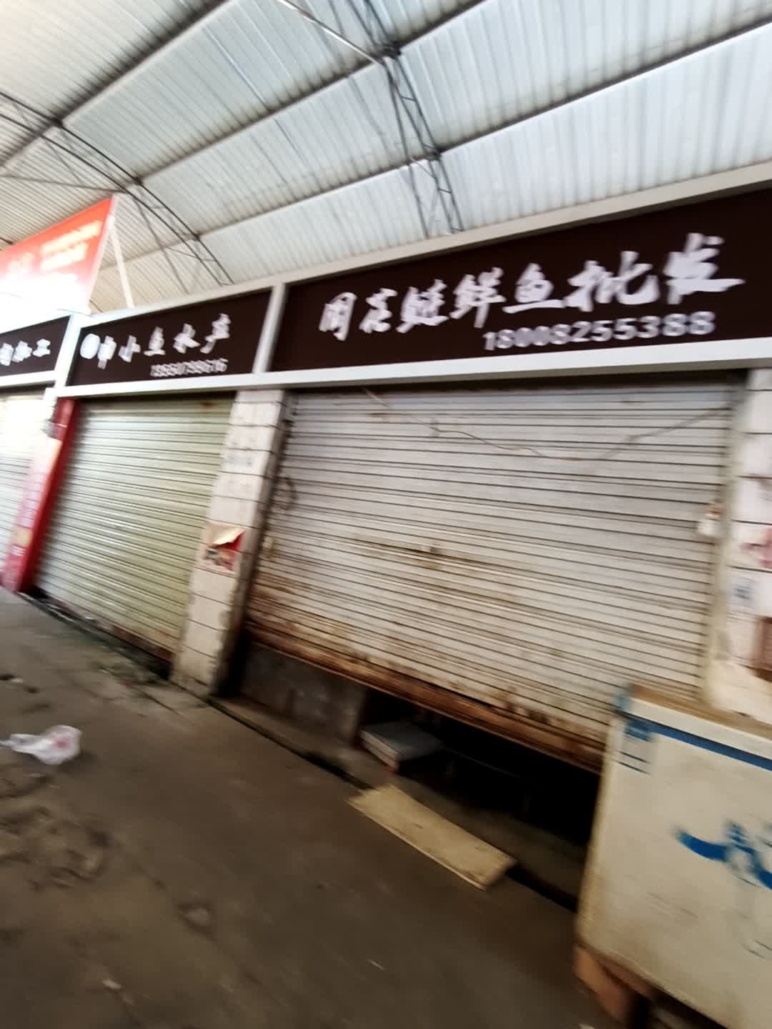 同花鲢鲜鱼批发