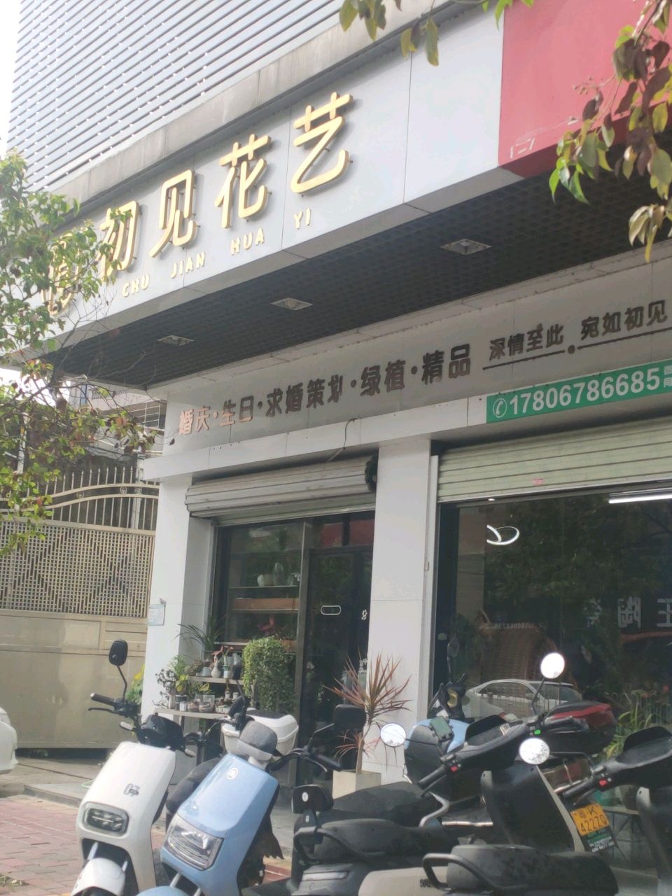 初见花艺(茂羊路店)