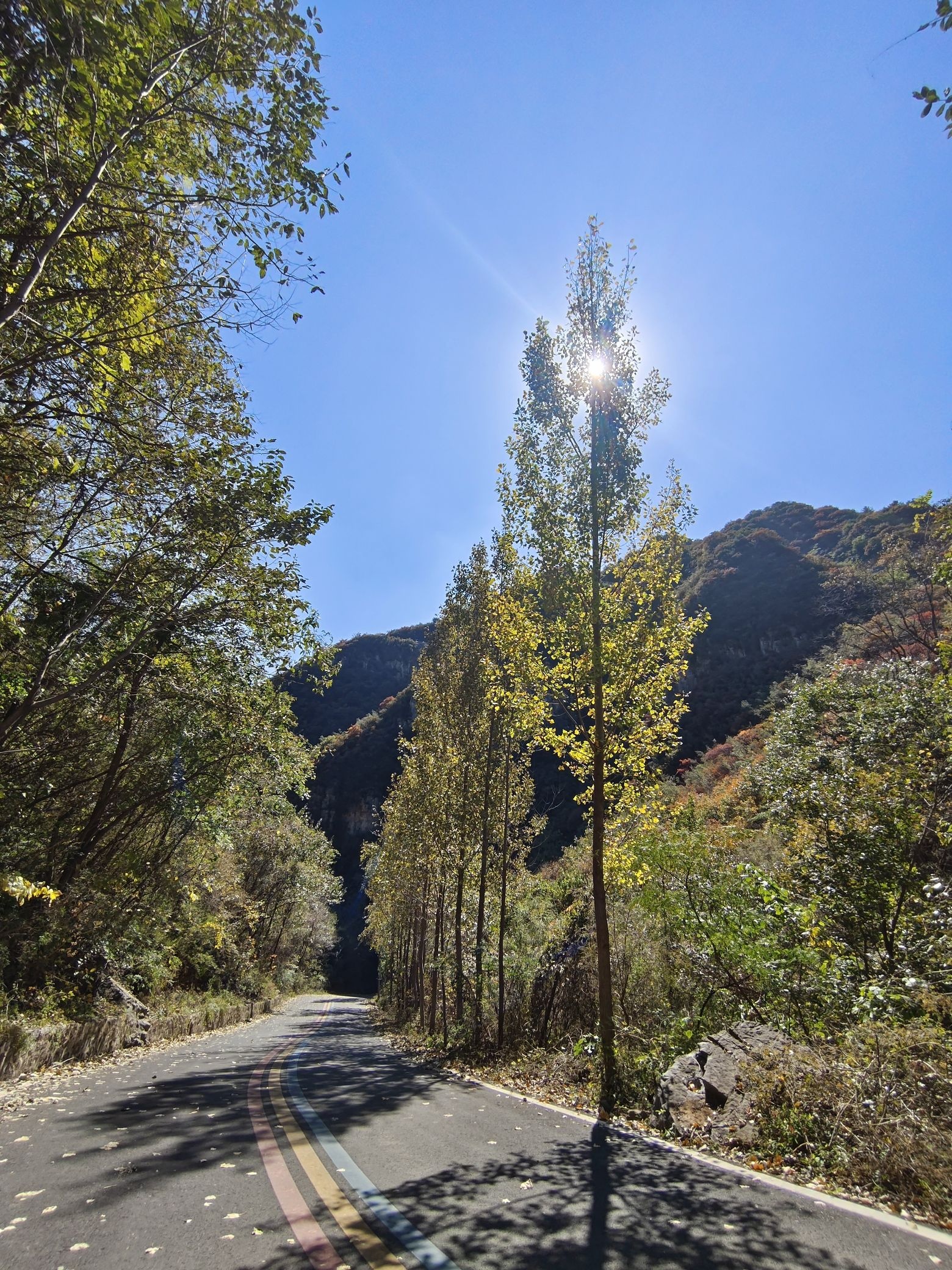 新乡市龙卧岩景区