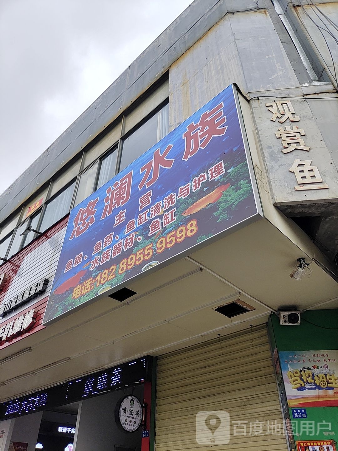 悠澜水族