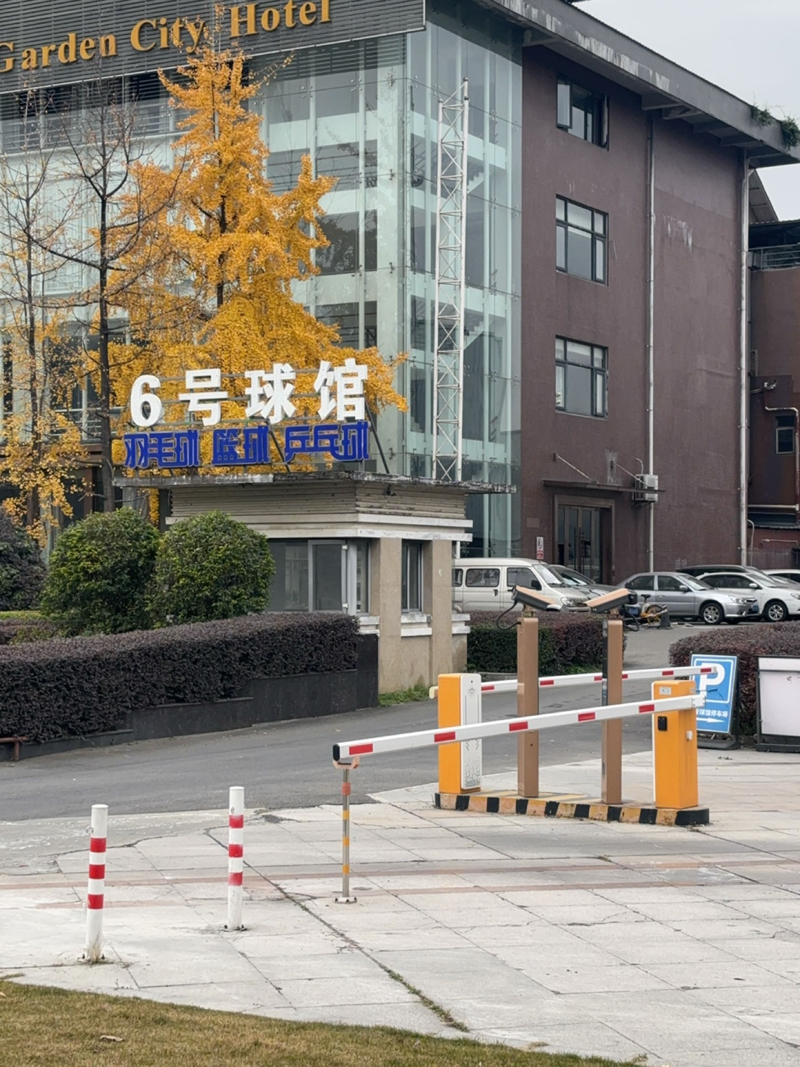 6号球馆