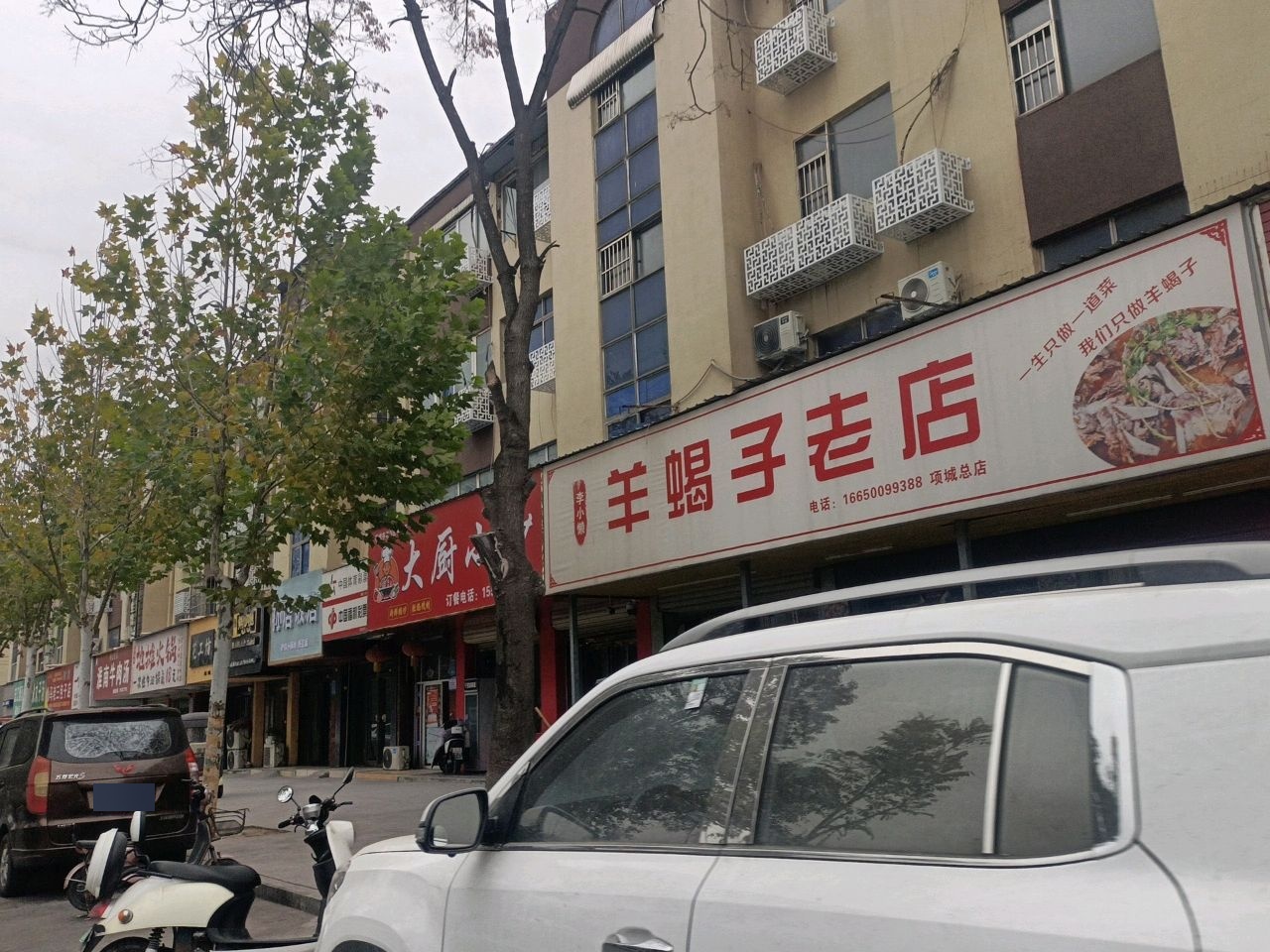 羊蝎子老店(项城总店)