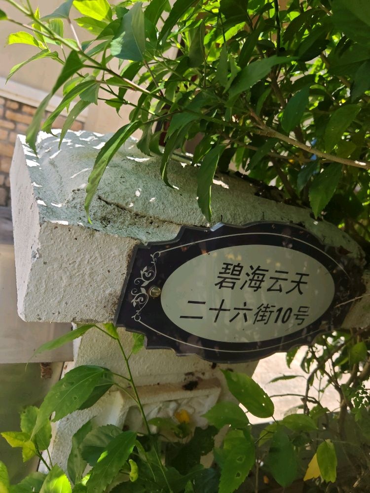 碧海云天二十六街10号