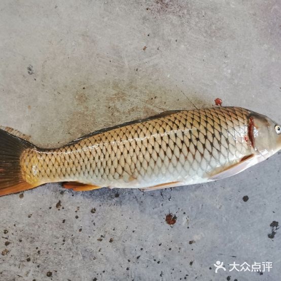 馨香源农庄