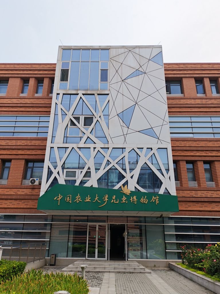 中国农业大学昆虫博物馆