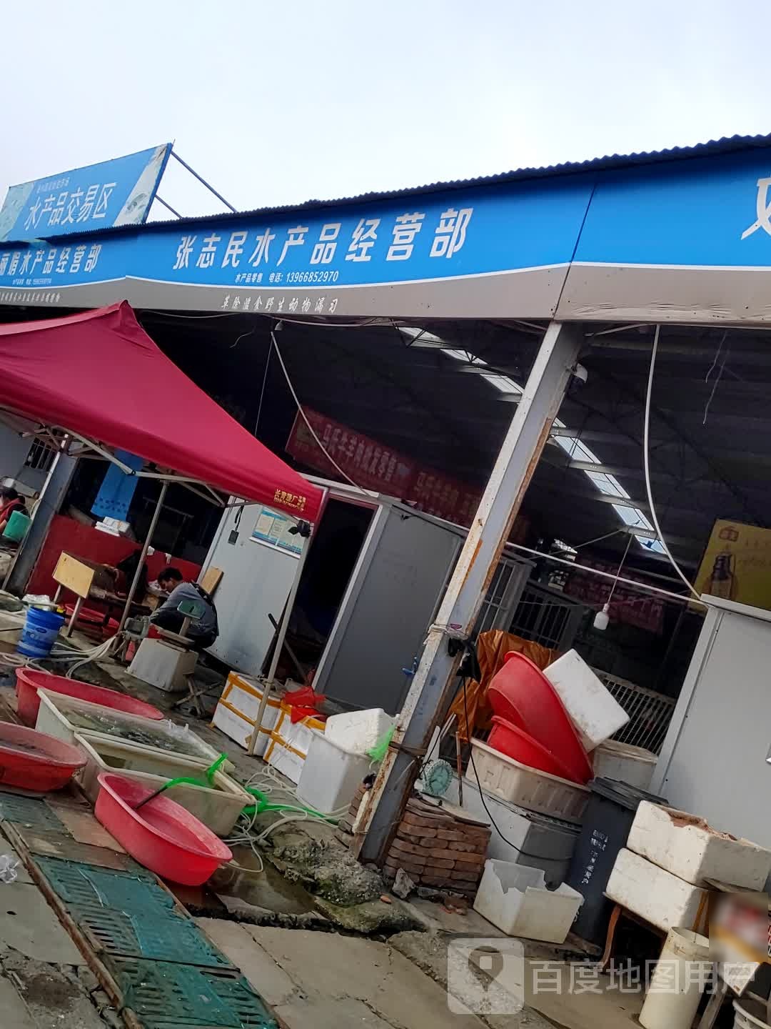 张志民鲜虾鱼活批发零售