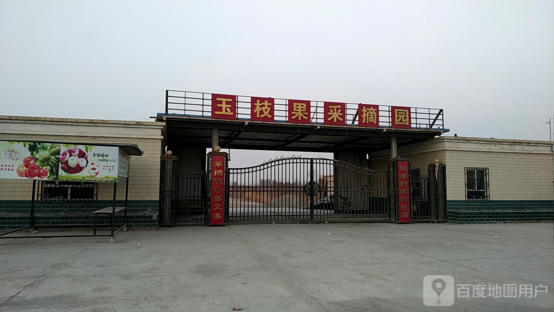 玉枝果采摘园