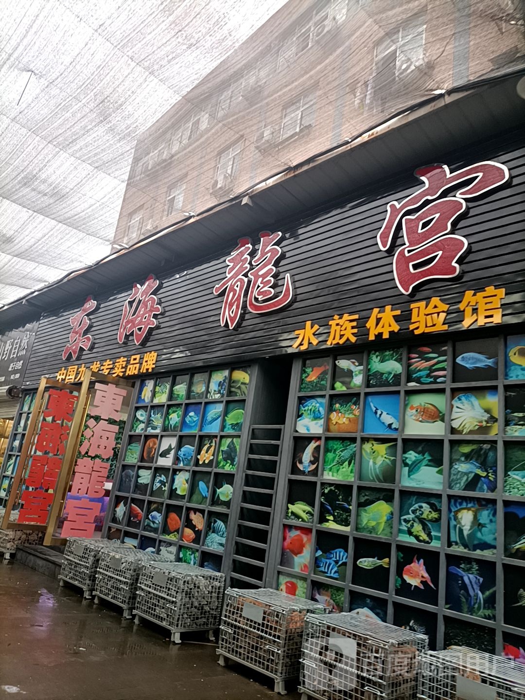 东海龙宫水族体验管(天胜花鸟市场)