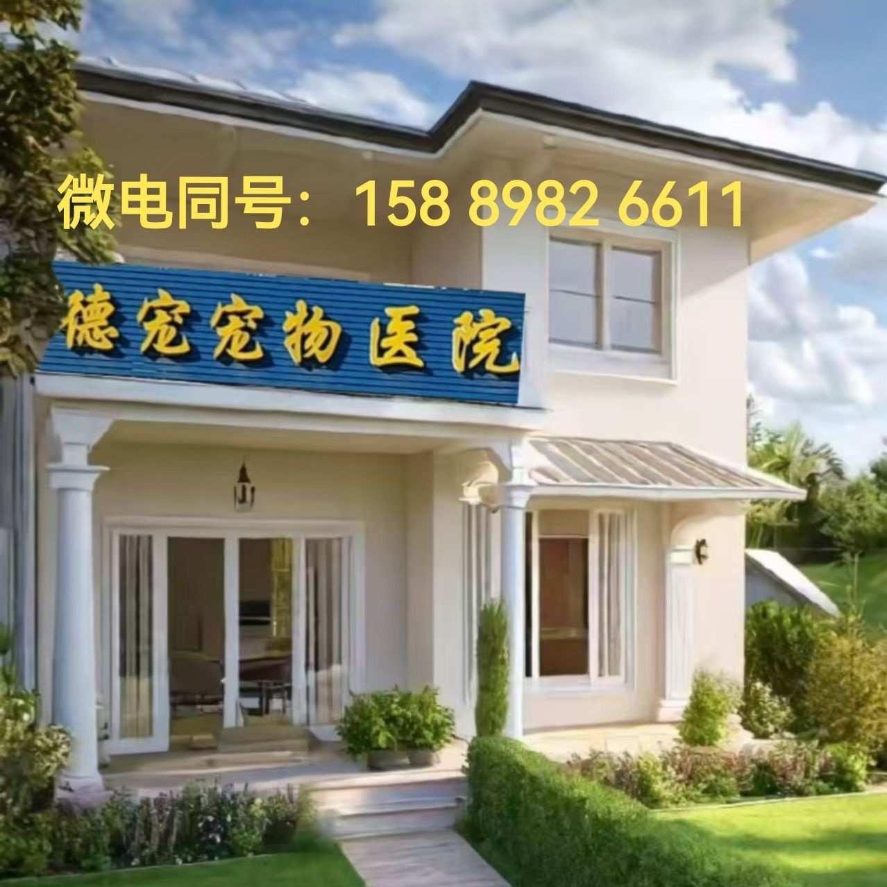 德宠宠物诊所(新垌店)