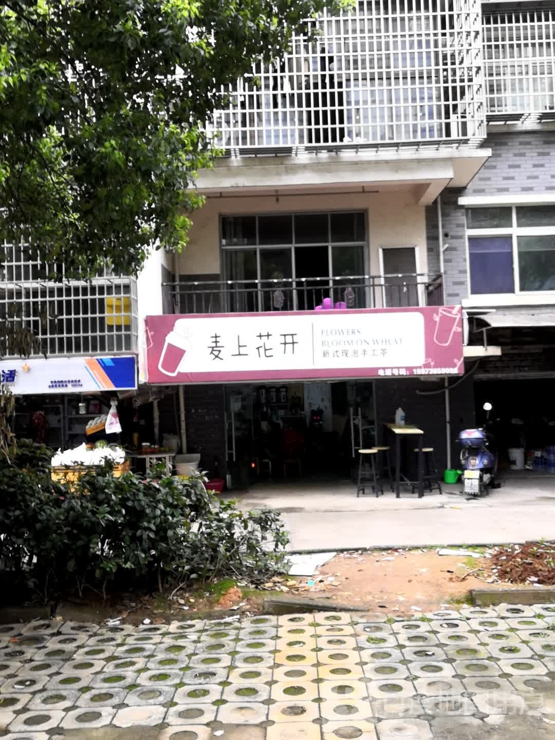 麦上花开