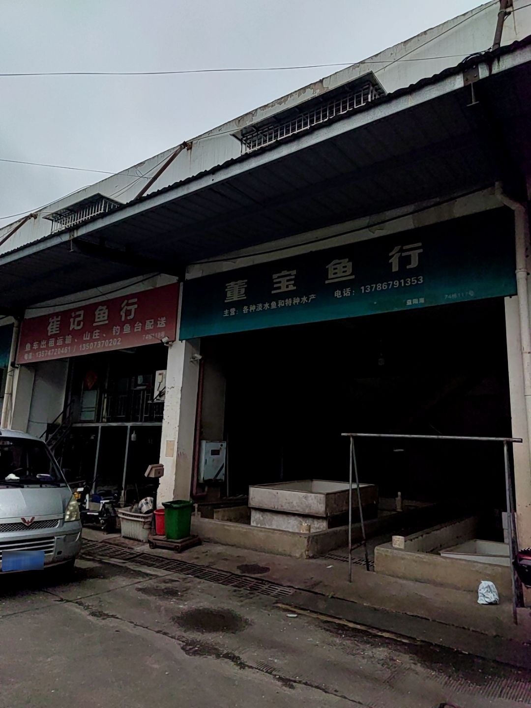 董宝鱼行