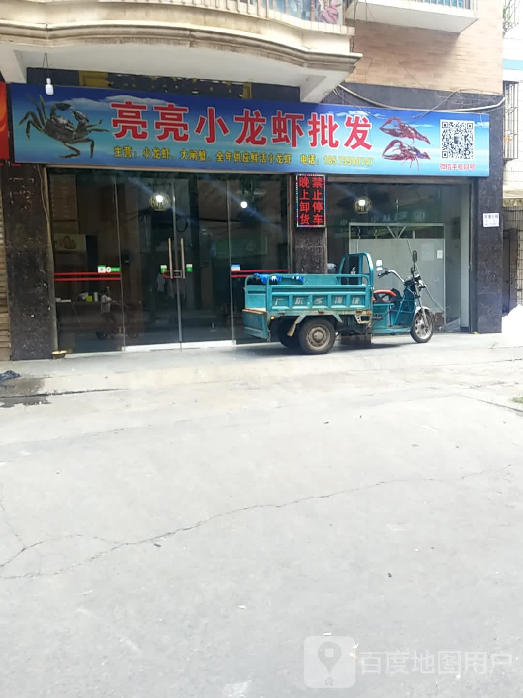 亮亮小小龙批发