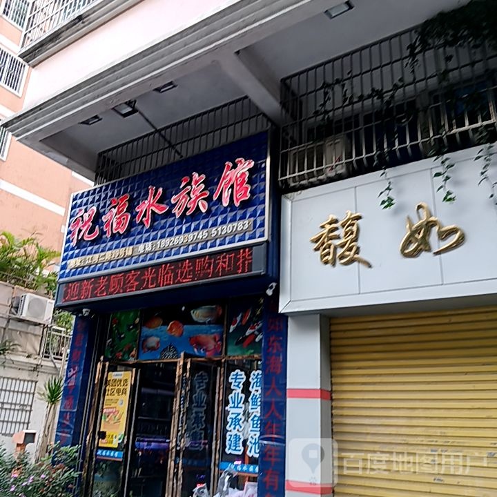 祝福水族馆(斗门大信新都汇店)