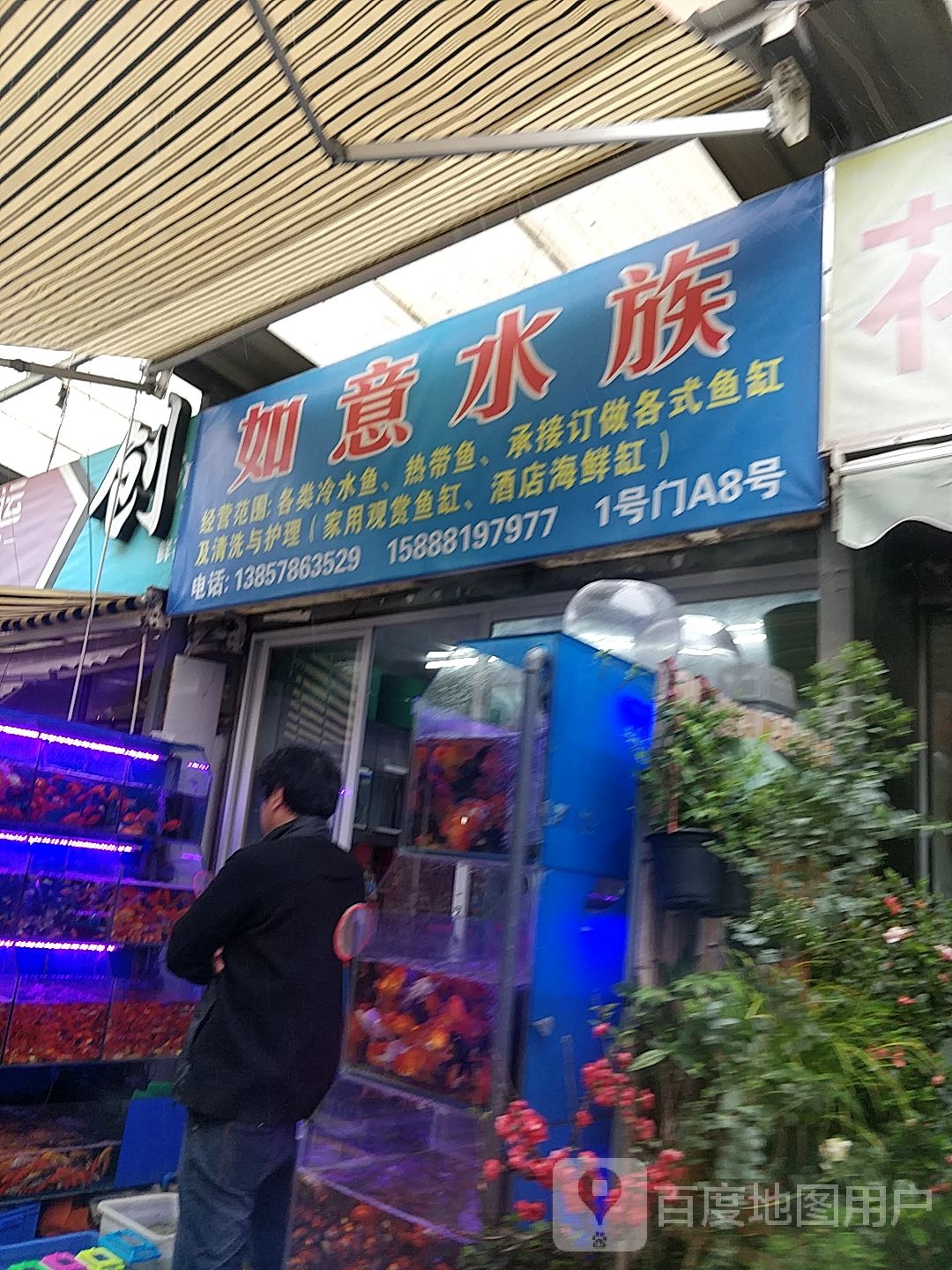 如意水族